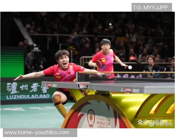 乒乓球传奇之旅：深入成都乒乓球队的训练与荣耀探秘